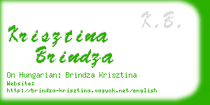 krisztina brindza business card